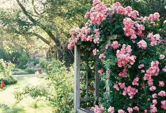 久久精品国产亚洲āv电影