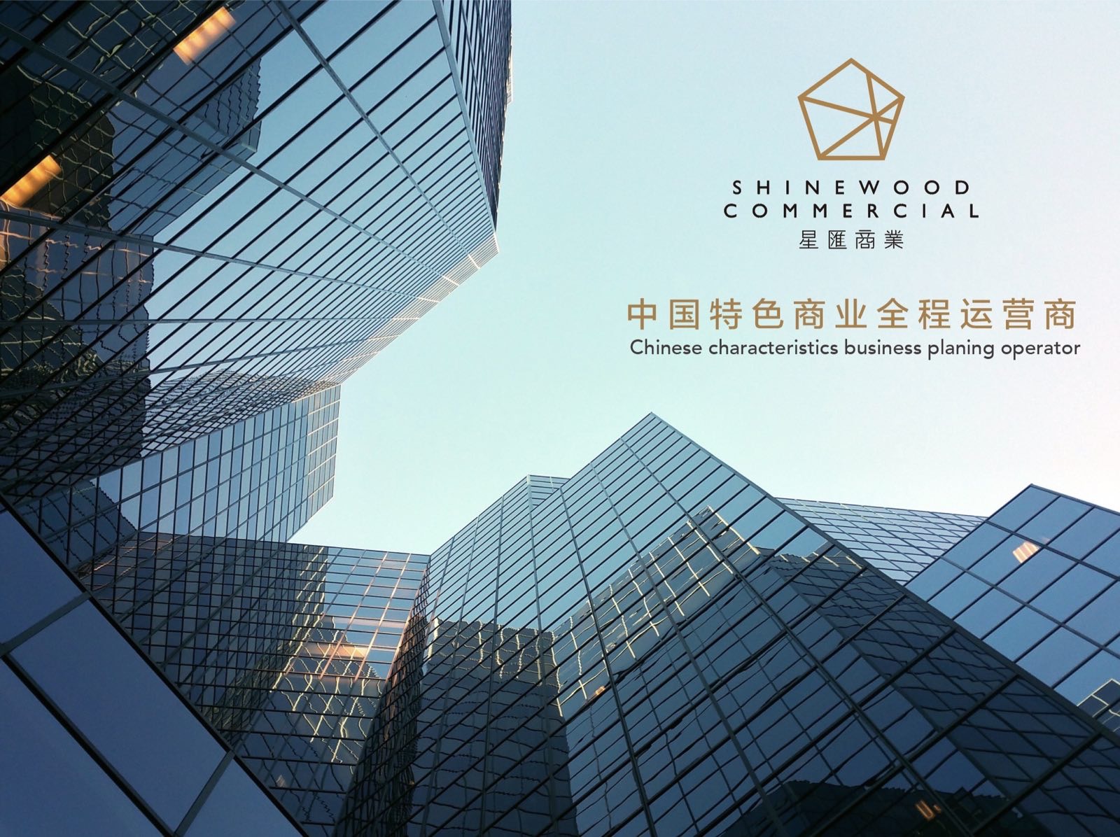 久久精品国产亚洲āv电影