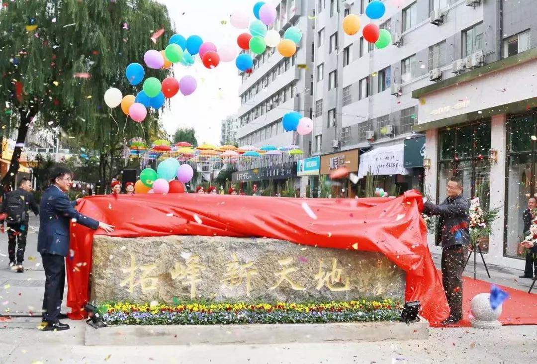 久久精品国产亚洲āv电影